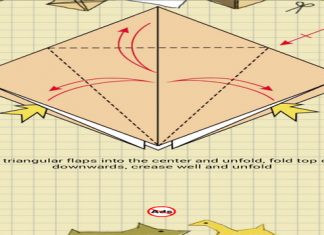 5 Aplikasi Belajar Origami Pemula Gratis Untuk Android 5 Aplikasi Belajar Origami Pemula Gratis Untuk Android