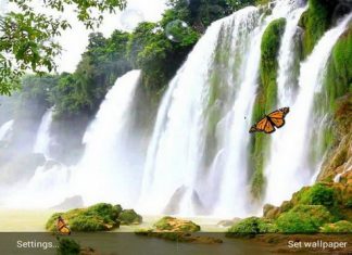 5 Aplikasi Live Wallpaper Terbaik Dan Gratis Android 2015 5 Aplikasi Live Wallpaper Terbaik Dan Gratis Android 2015