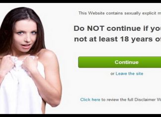 8 Situs Web Chatting Dewasa Seperti Omegle 8 Situs Web Chatting Dewasa Seperti Omegle