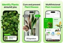 Aplikasi Identifikasi Tanaman Gratis Terbaik untuk Pengguna iPhone! Aplikasi Identifikasi Tanaman Gratis Terbaik untuk Pengguna iPhone!
